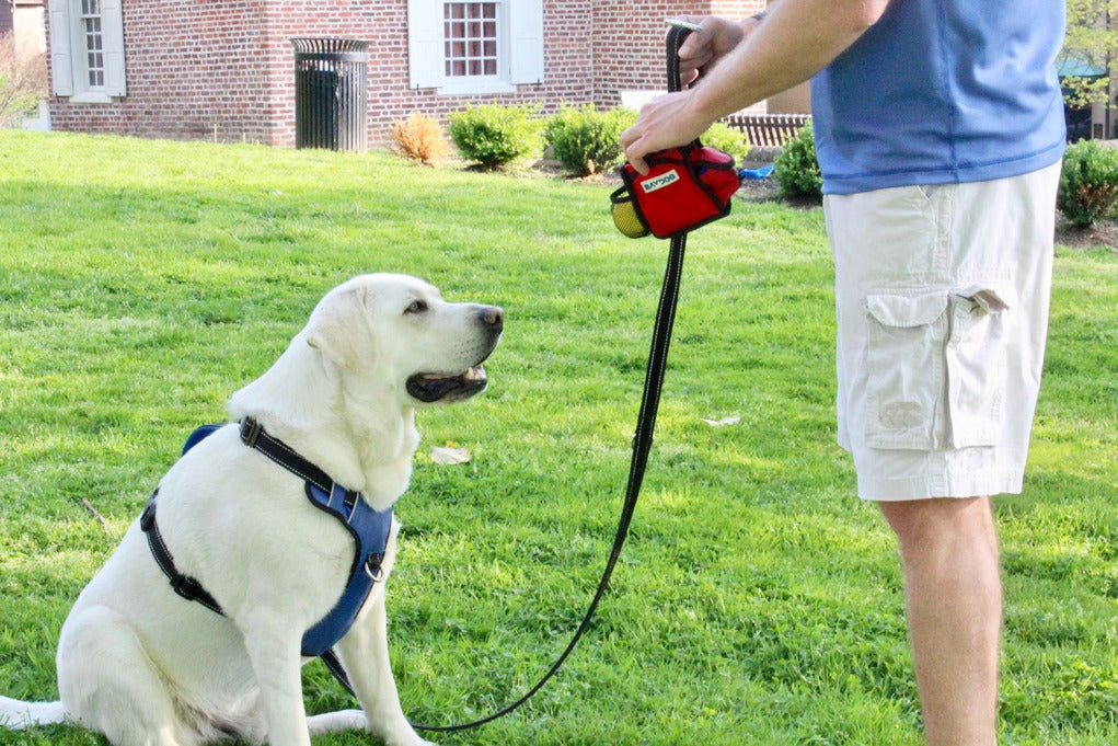 How To Train Your Dog with A Whistle