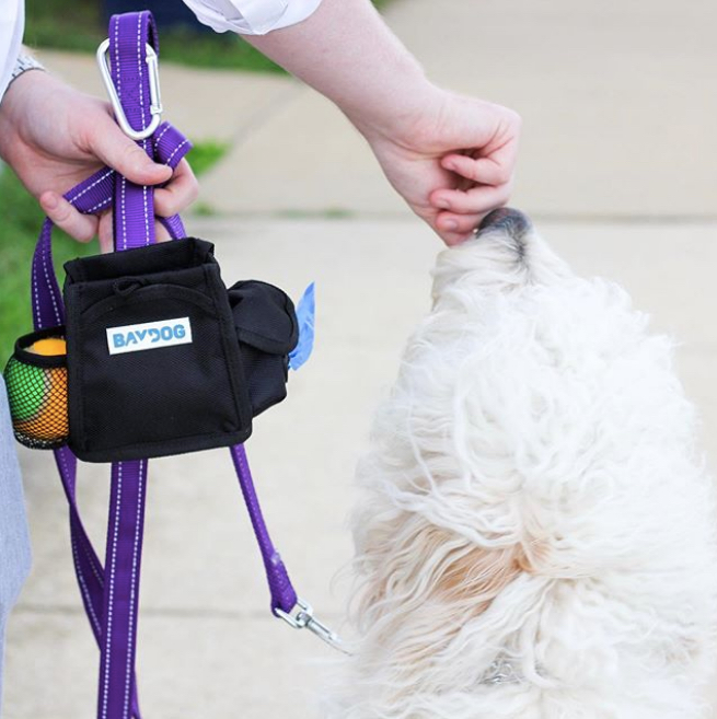 Pack-N-Go Bag