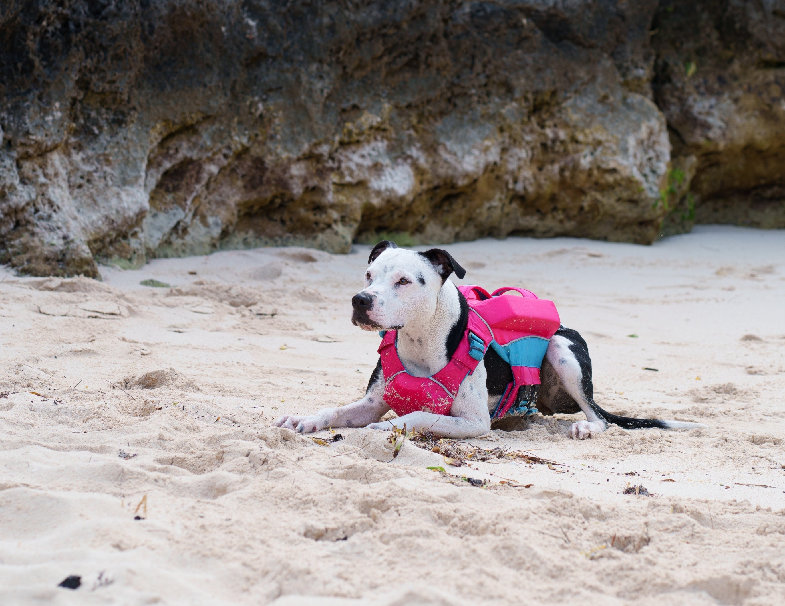 Lifejacket Bundles