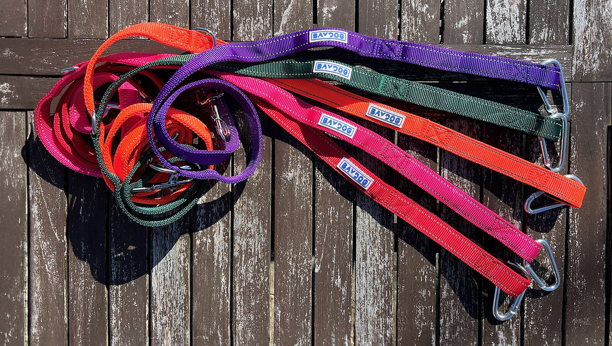 Leashes