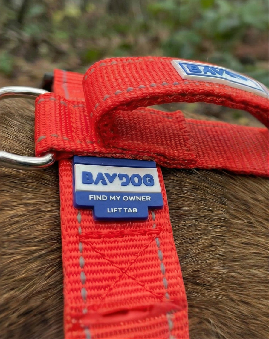 The Find My Owner tab on a BAYDOG harness