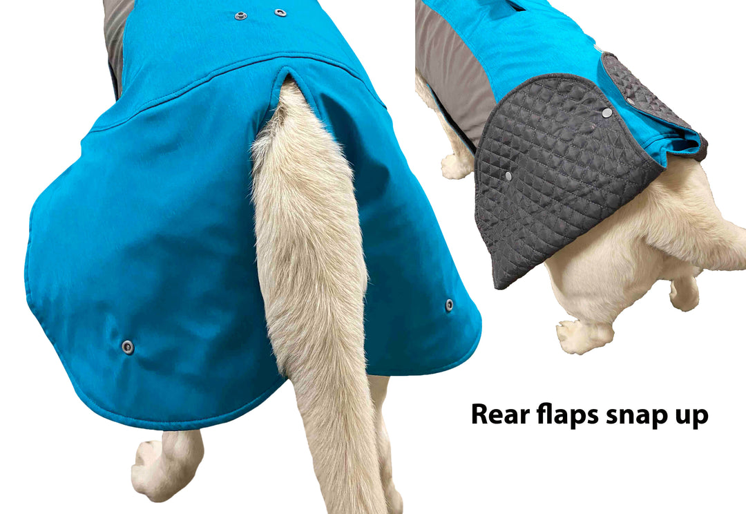 Glacier Bay Winter Dog Coat