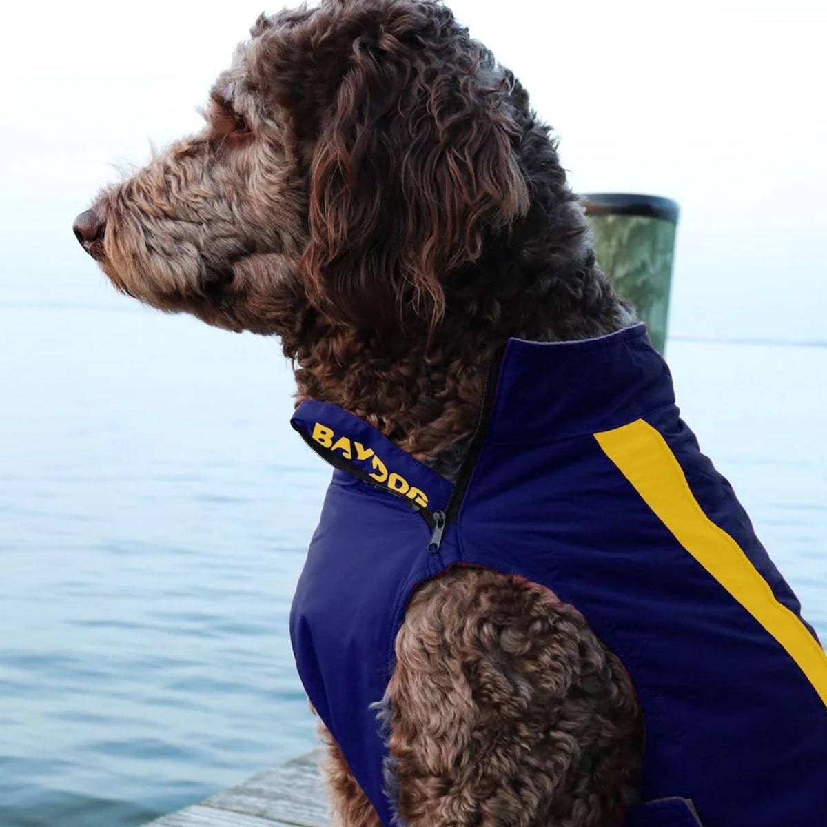 College Dog Fleeces