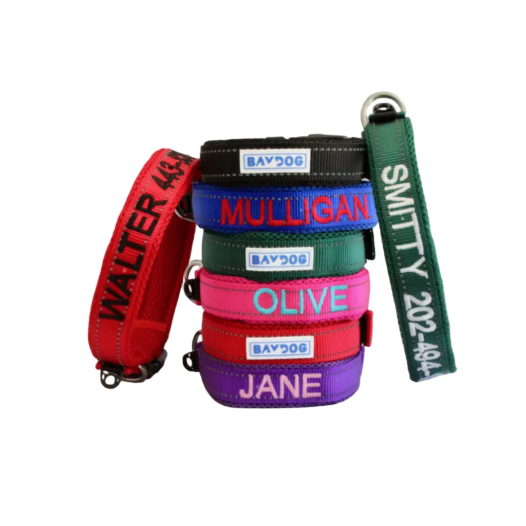Embroidered Dog Collar – BAYDOG