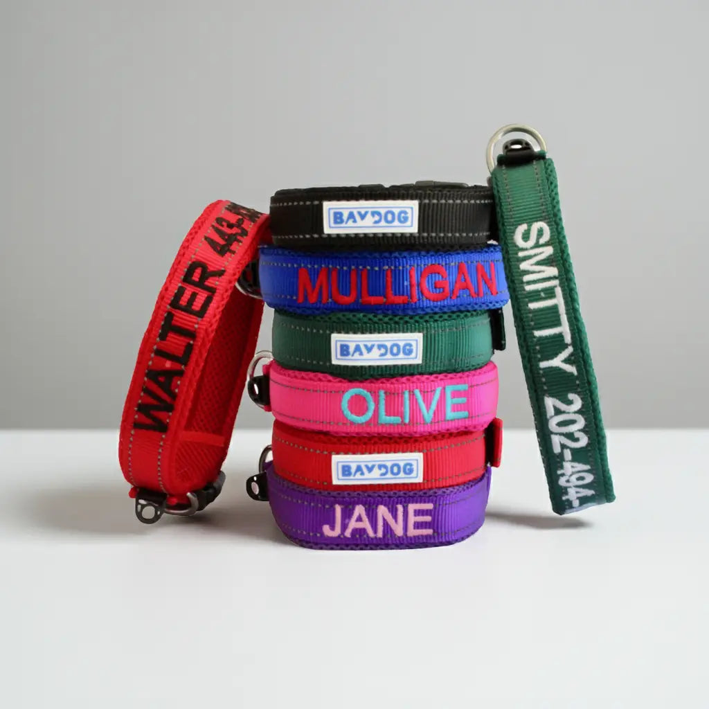 Embroidered Dog Collar