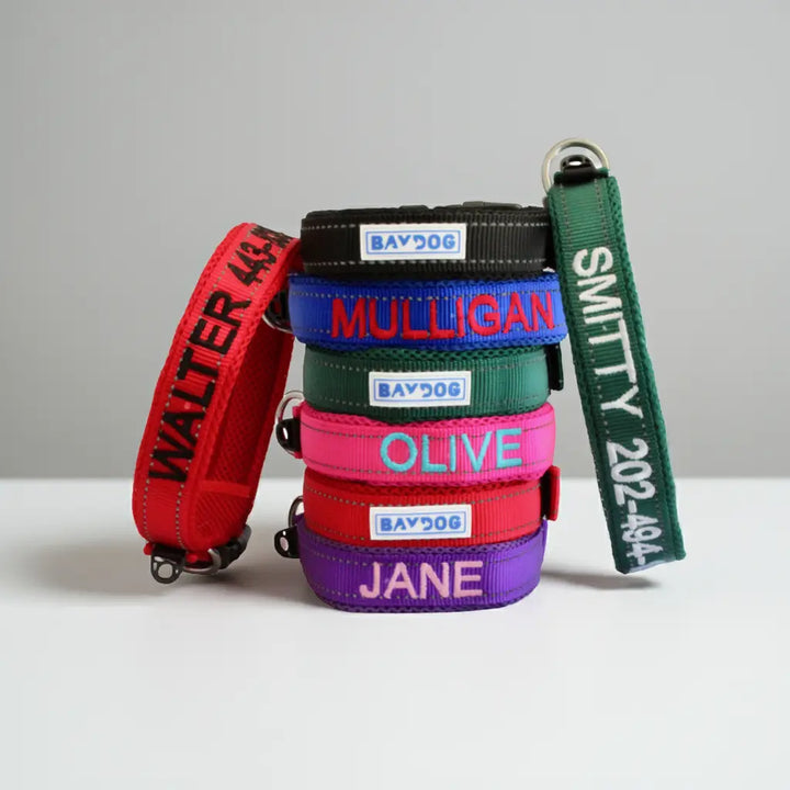 Embroidered Dog Collar