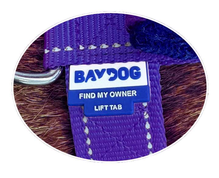 Chesapeake Bay Dog Harness