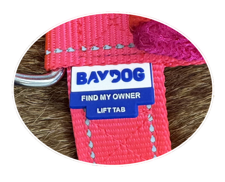 Chesapeake Bay Dog Harness