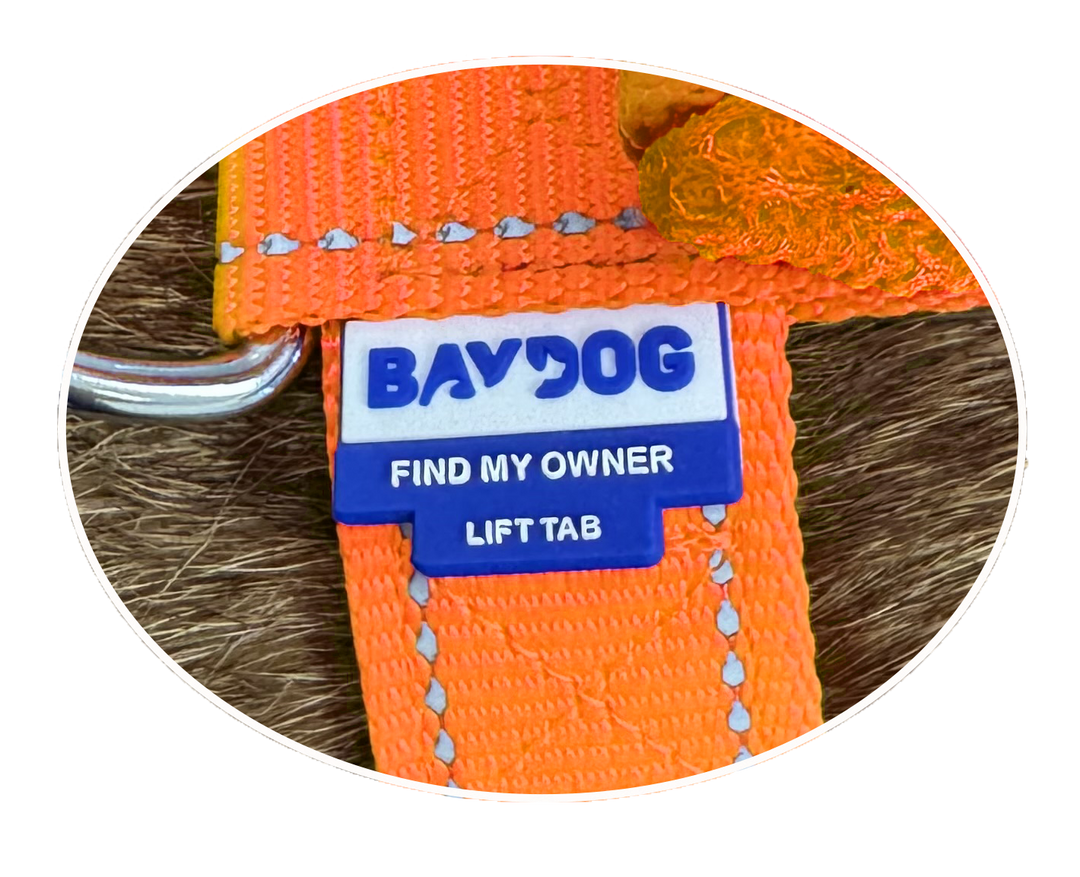 Chesapeake Bay Dog Harness