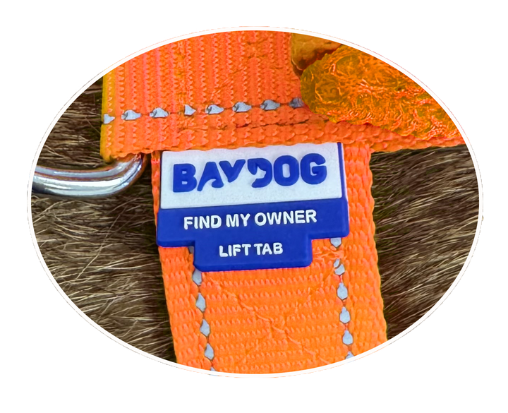 Chesapeake Bay Dog Harness