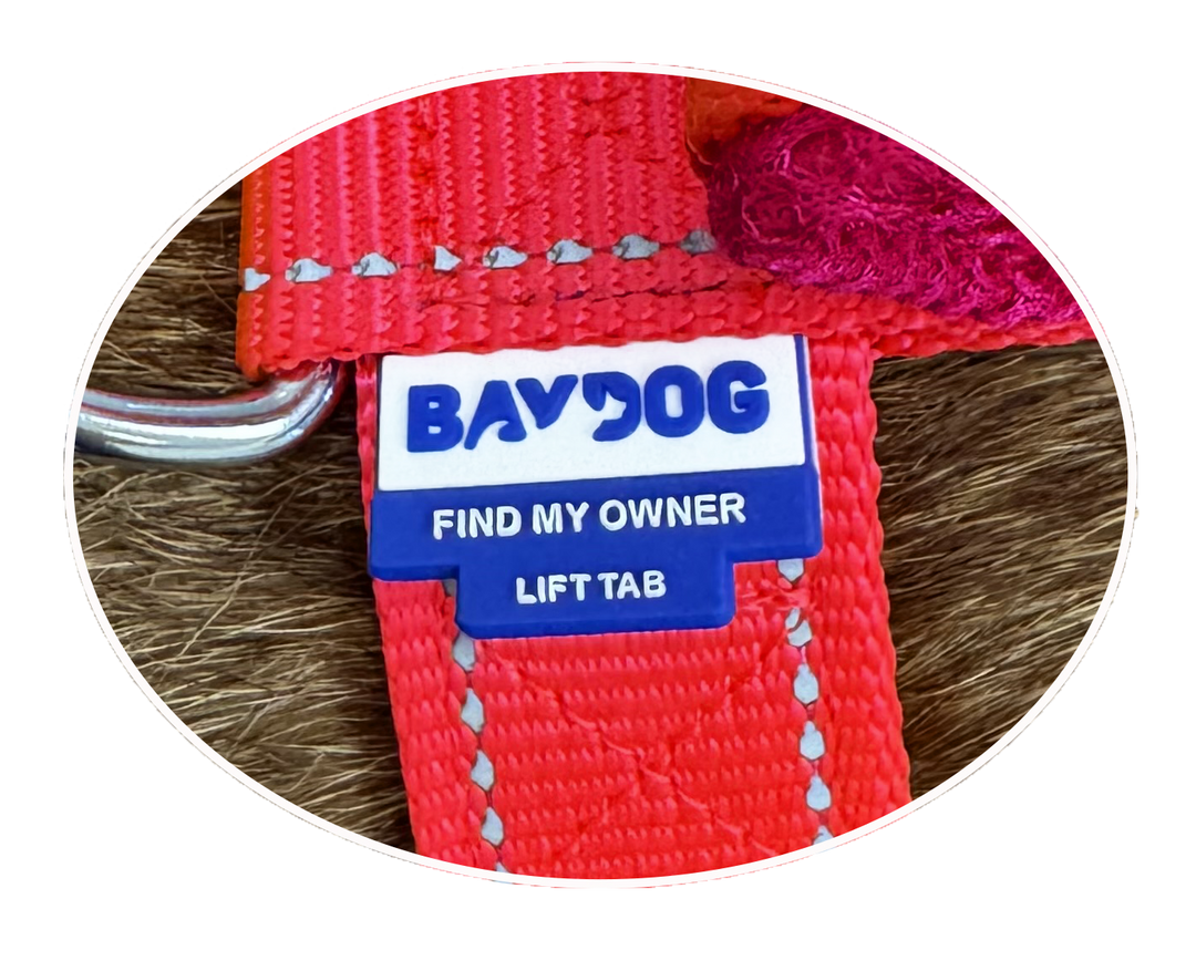 Chesapeake Bay Dog Harness