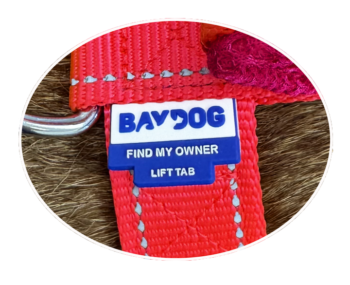 Chesapeake Bay Dog Harness