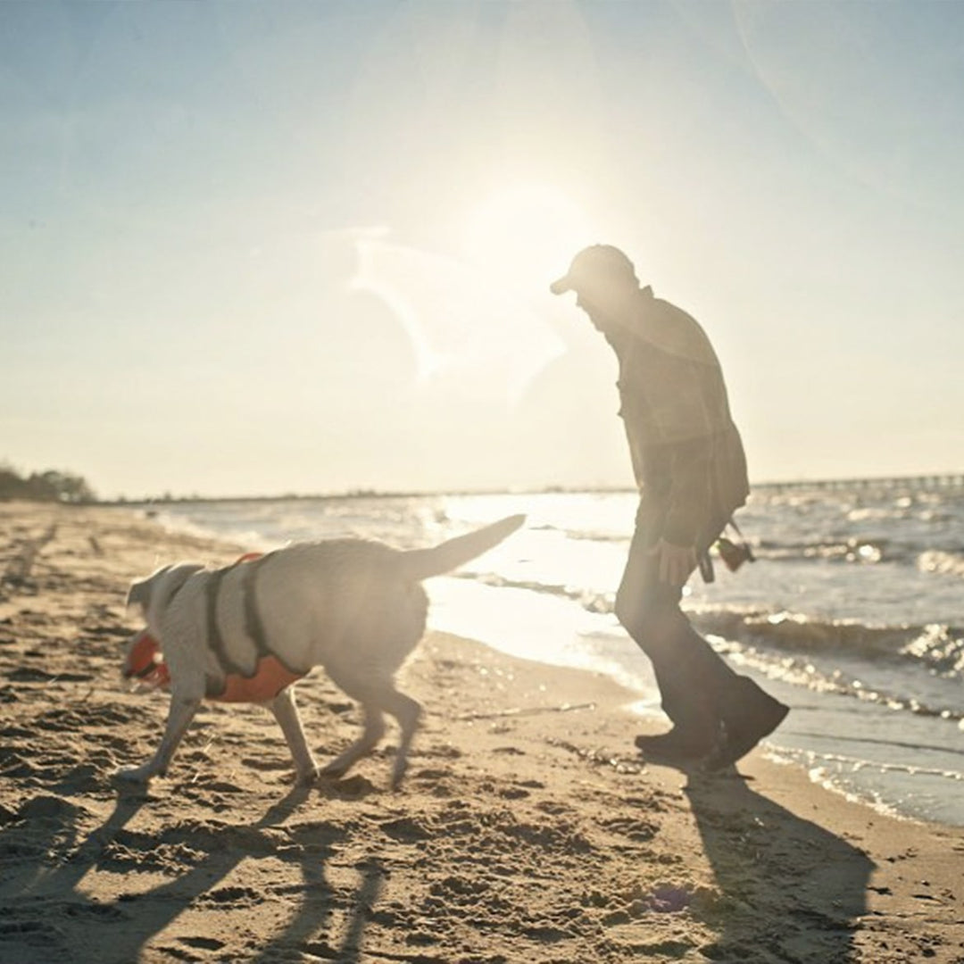 BAYDOG Dog Gear - Veteran Owned