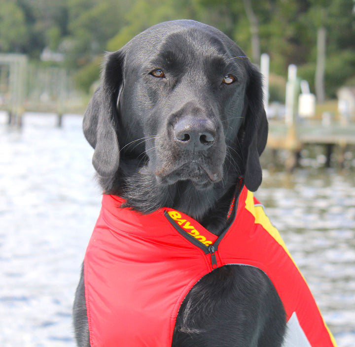 Maryland Terps Dog Fleece