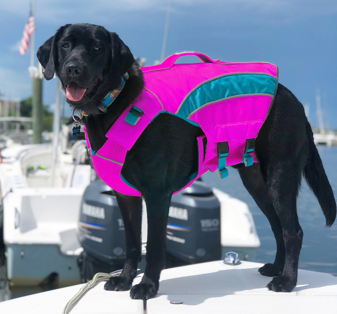 Monterey Bay Dog LifeJacket