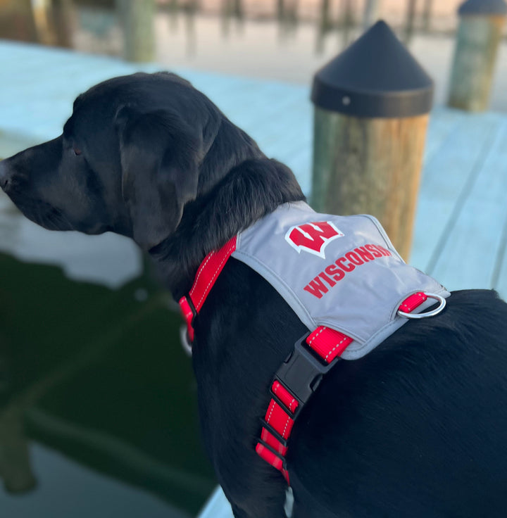 Wisconsin Badgers Dog Harness