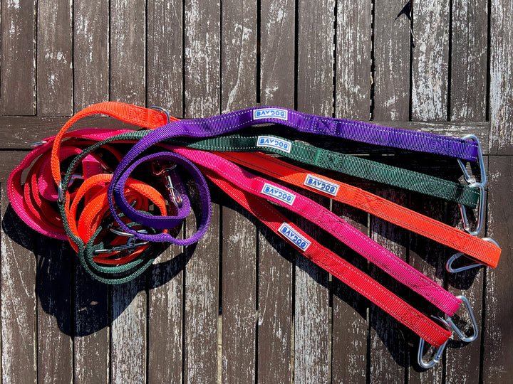 Hudson Bay Dog Leash