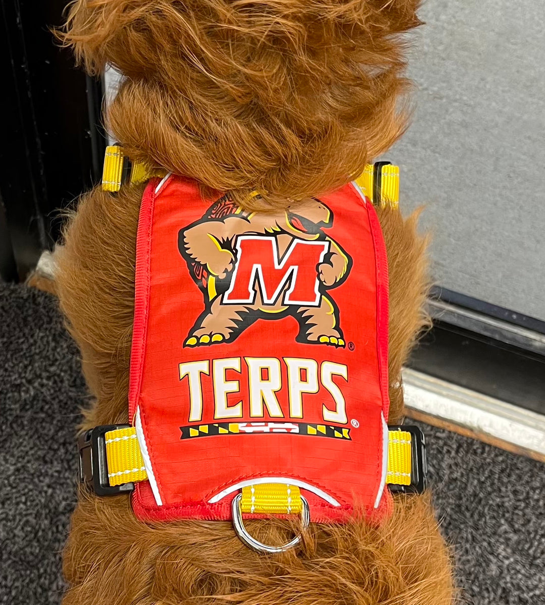 Maryland Terps Dog Harness