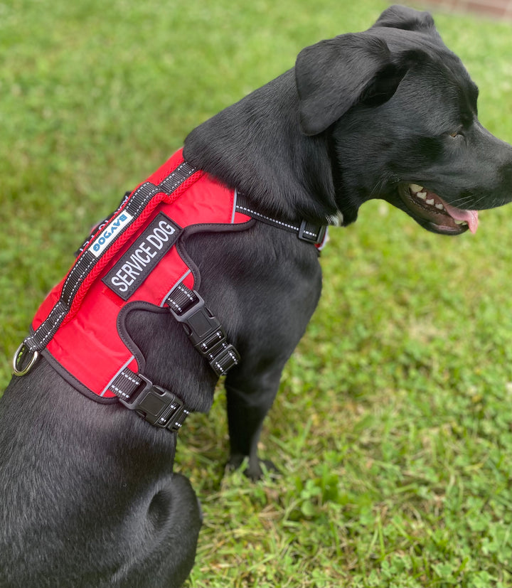 Service Dog Harness | Red