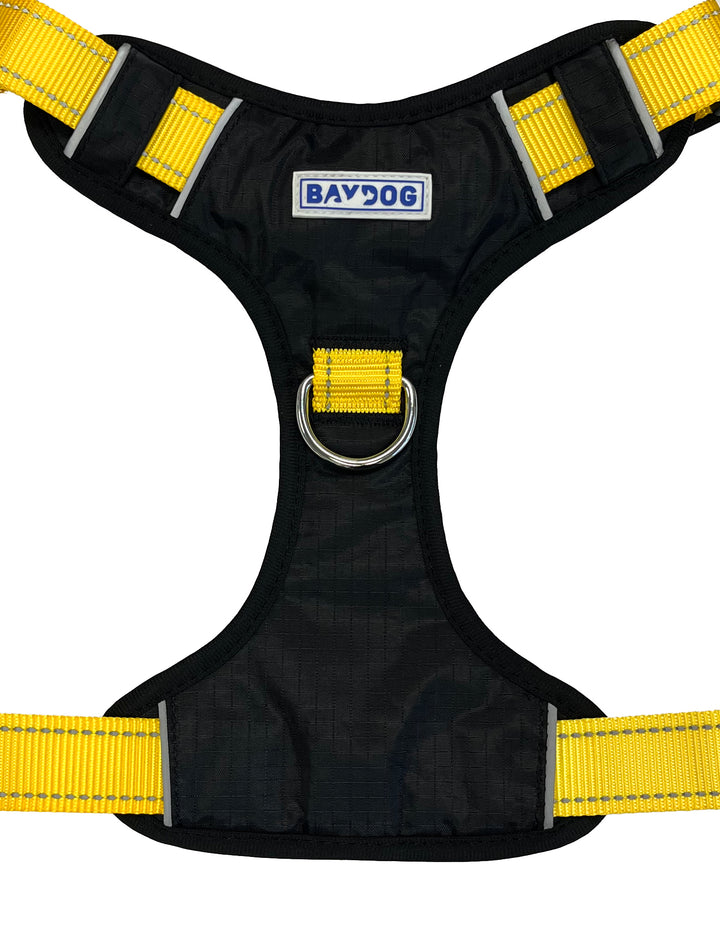 Iowa Hawkeyes Dog Harness