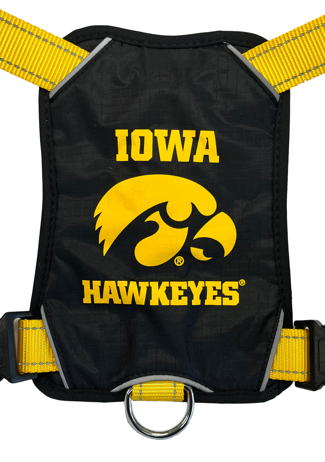 Iowa Hawkeyes Dog Harness