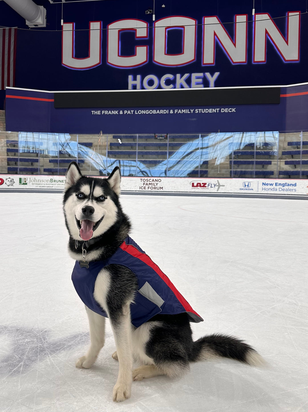 UCONN Huskies Dog Fleece