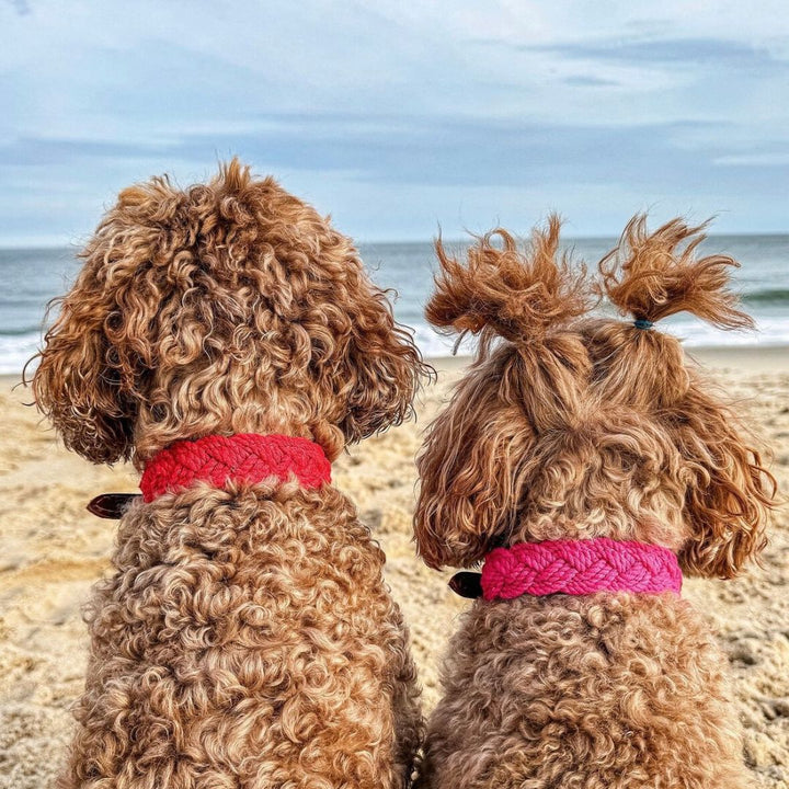 Seaside Collar