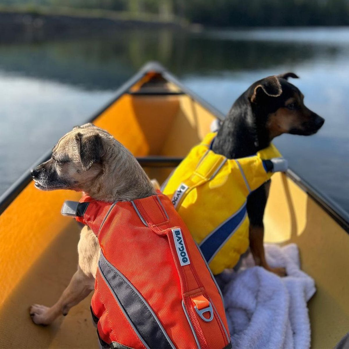 Dog Life Jackets