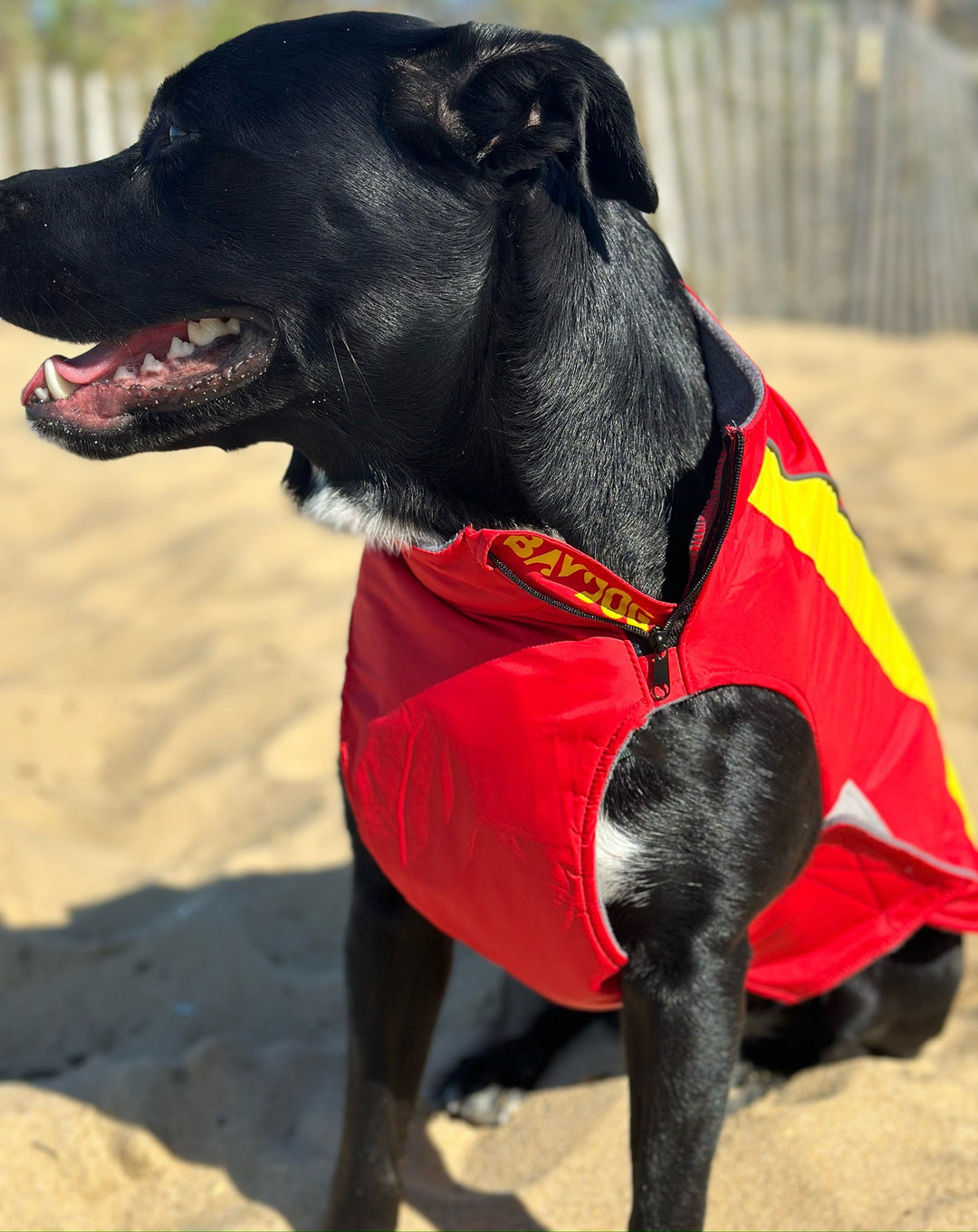 Maryland Terps Dog Fleece