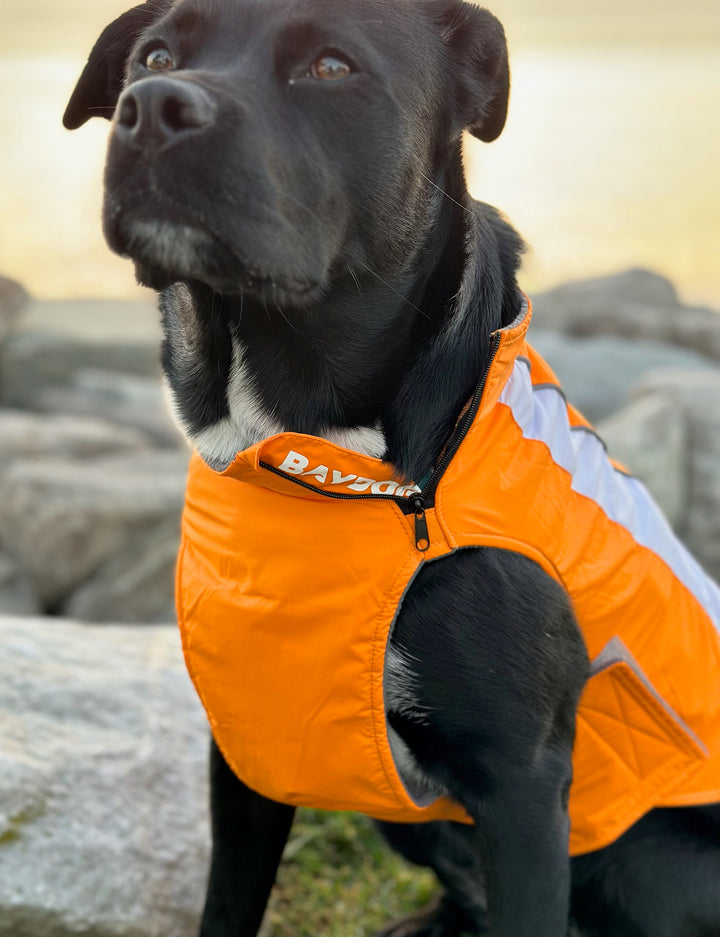 Tennessee Volunteers Dog Fleece