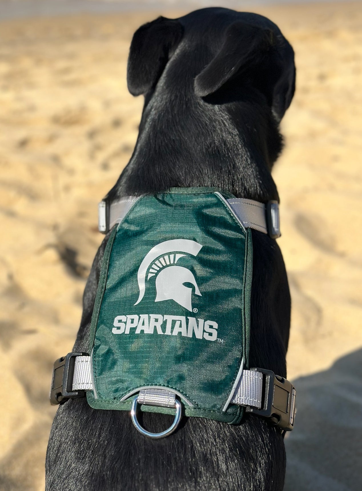 Michigan State Spartans Mesh Dog Football Jersey