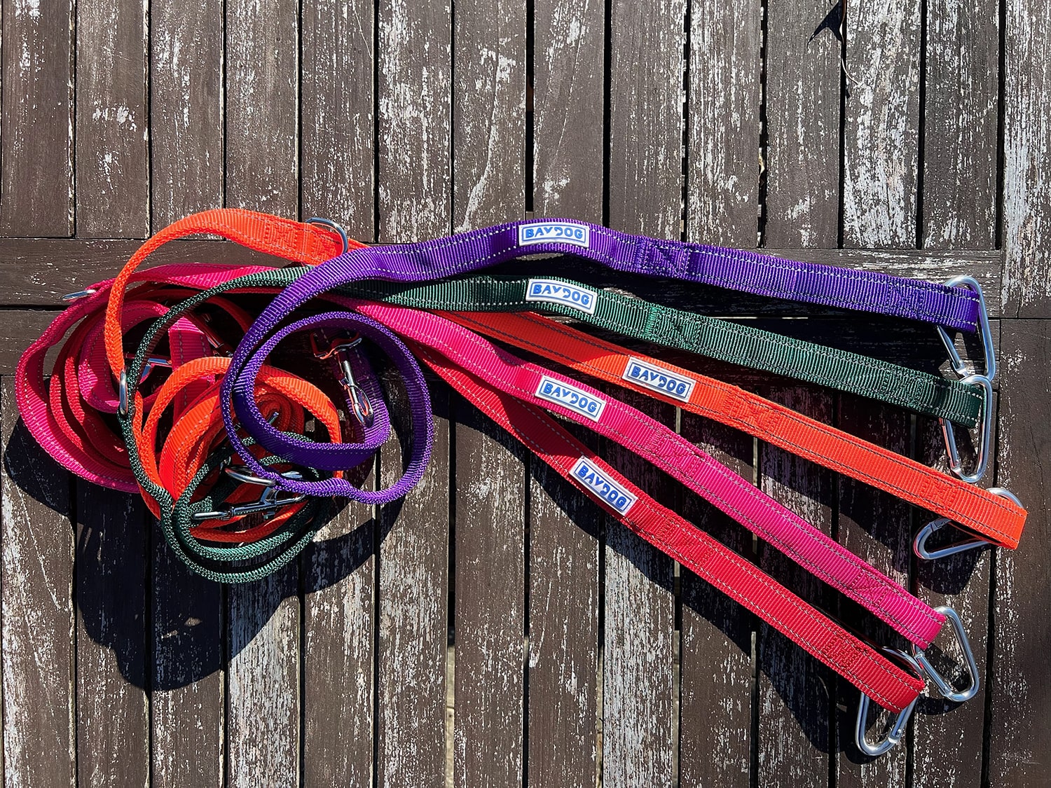 Shop BAYDOG Dog Leashes