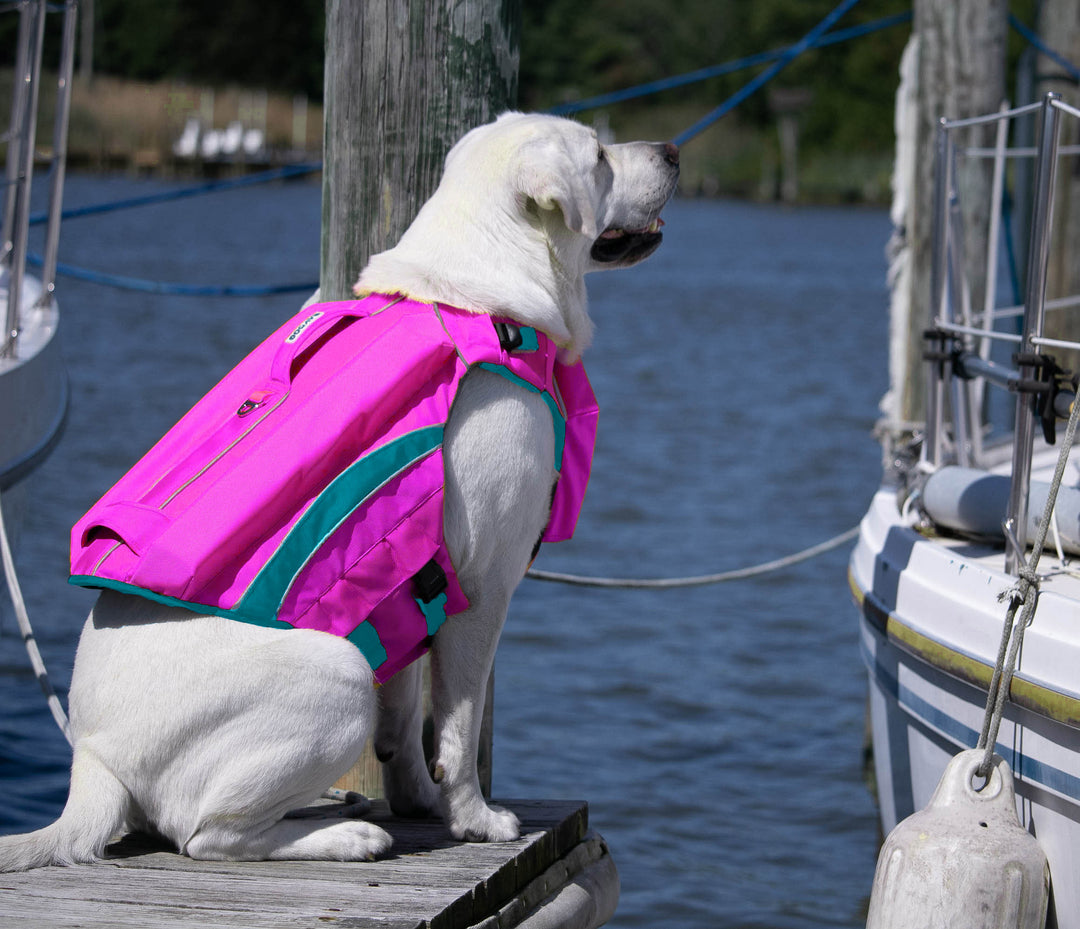 Monterey Bay Dog LifeJacket OffShore