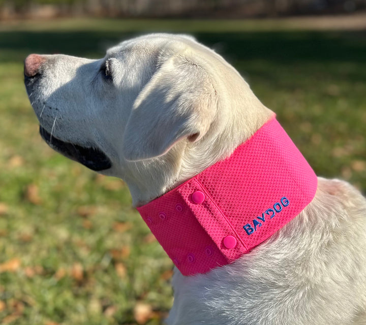 Arctic Bay Cooling Collar