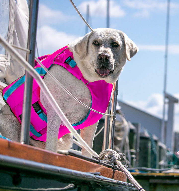 Monterey Bay Dog LifeJacket