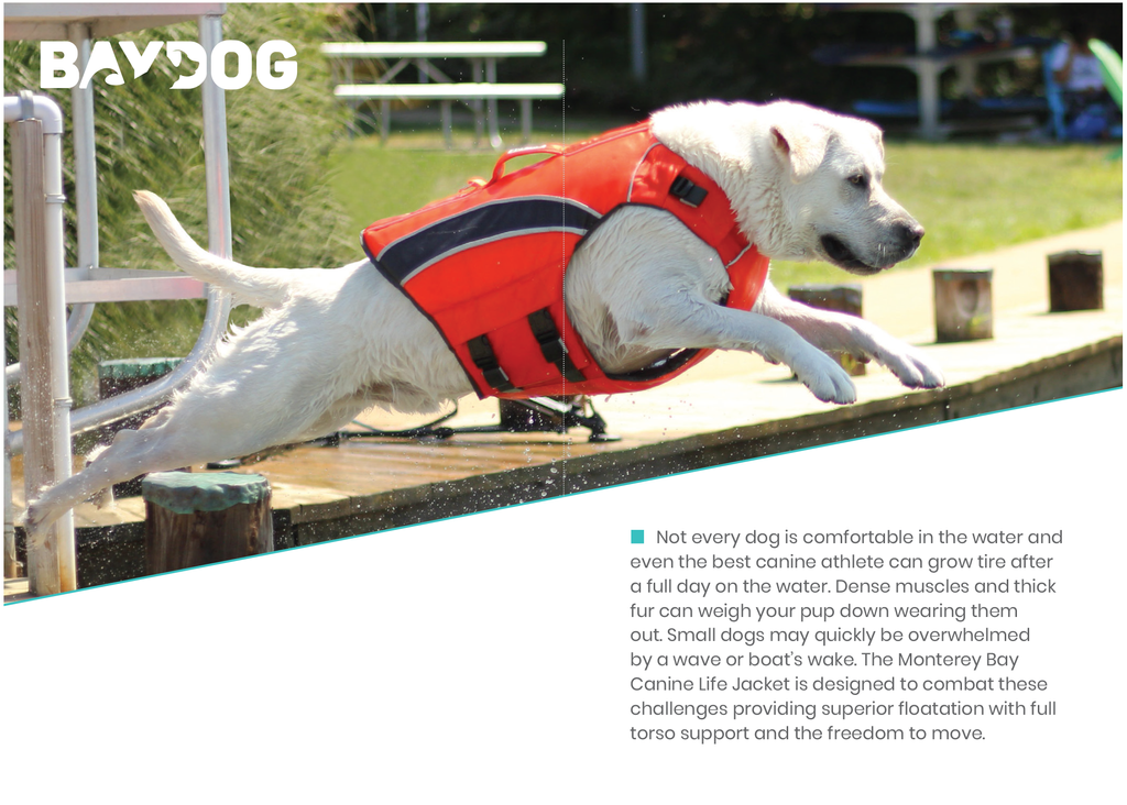 Monterey Bay Dog LifeJacket | Features