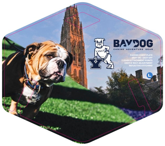 Yale Bulldogs Dog Harness