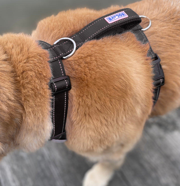 BAYDOG Chesapeake Dog Harness | Covert Black