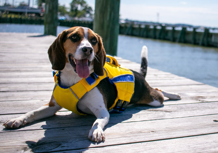 Monterey Bay Dog LifeJacket | Nautical Yellow