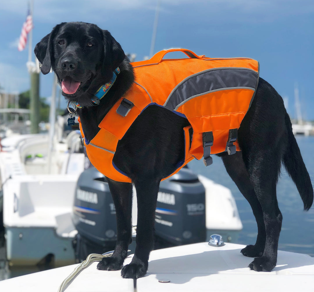 Monterey Bay Dog LifeJacket | Blaze Orange