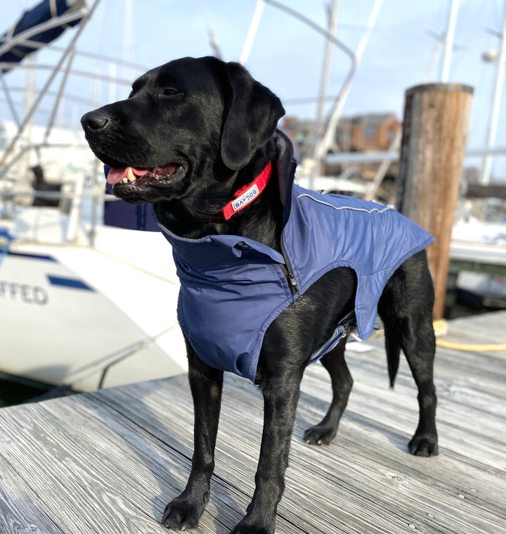 Narragansett Bay Dog Sailing Jacket | Navy Blue