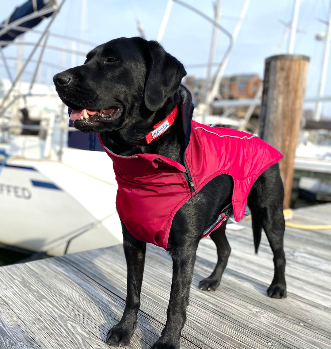 Narragansett Bay Dog Sailing Jacket | Siren Red
