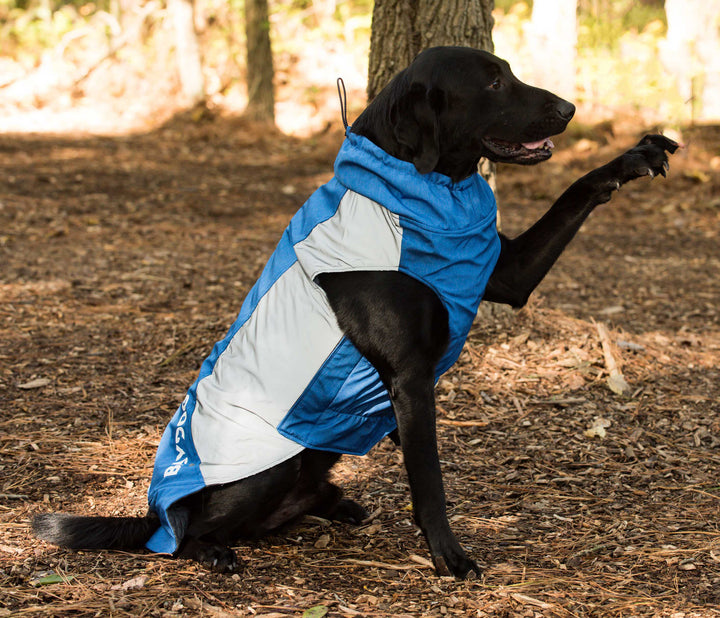 Glacier Bay Winter Dog Coat | Ocean Blue