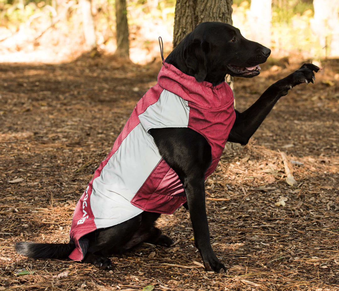 Glacier Bay Winter Dog Coat | Cranberry