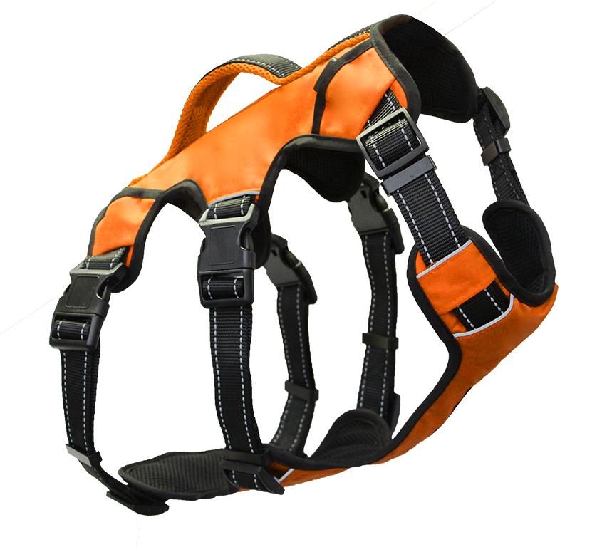 Saranac Dog Backpack | Blaze Orange