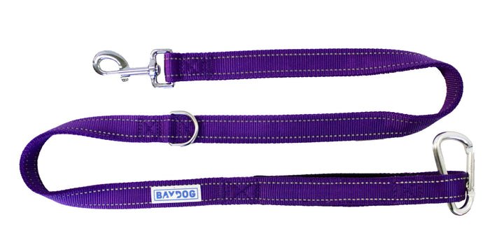 Hudson Bay Dog Leash | Purple Rain