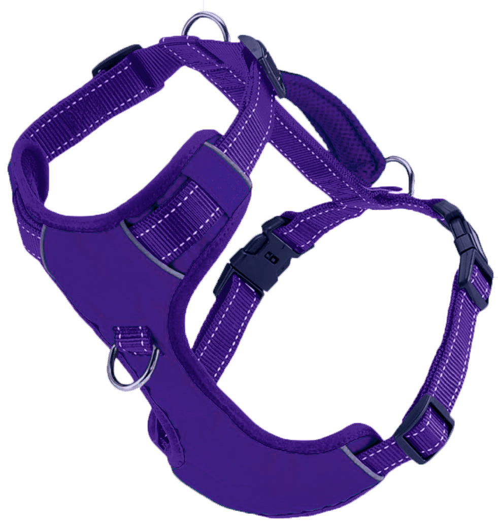 Purple Rain