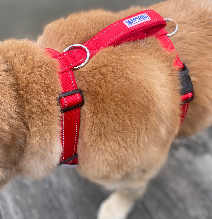 BAYDOG Chesapeake Dog Harness | Clifford Red