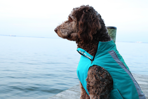 Maryland Fleece – BAYDOG