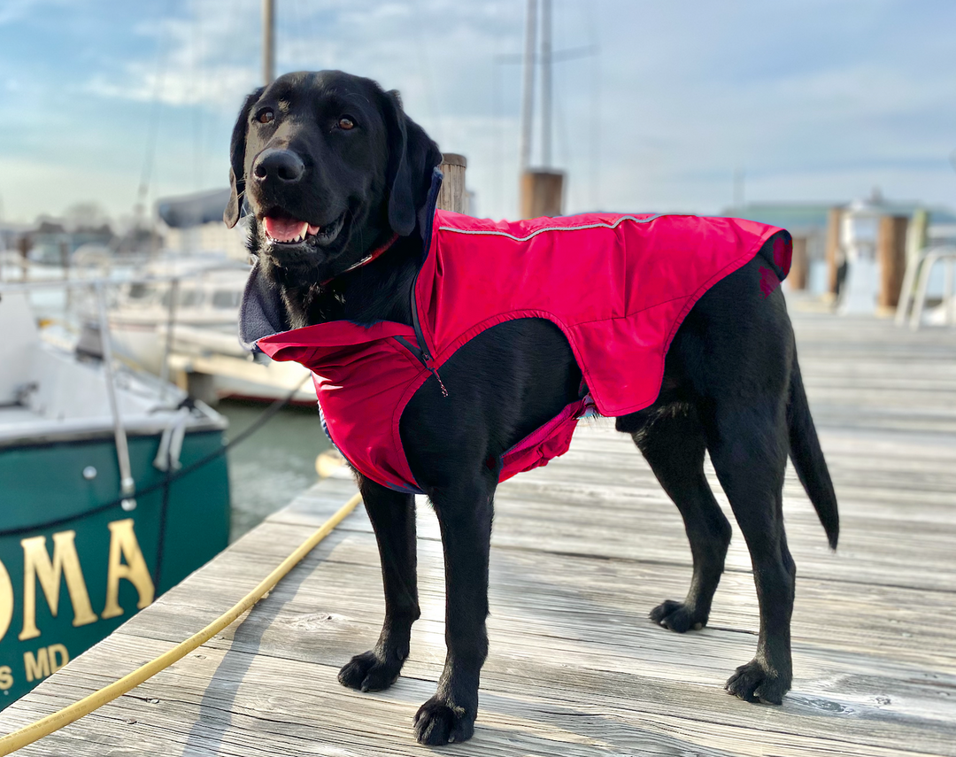 Narragansett Bay Dog Sailing Jacket | Siren Red